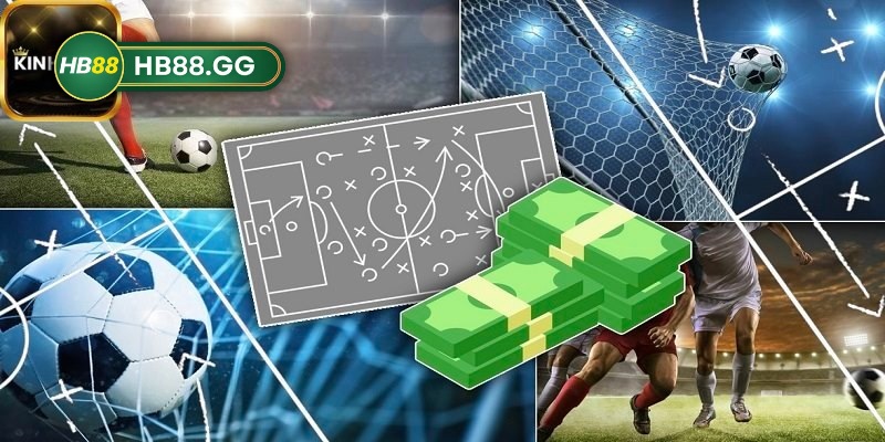 So sánh sảnh thể thao HB88 và M88 một cách chân thật 1 so sanh sanh the thao hb88 va m88 anh dai dien